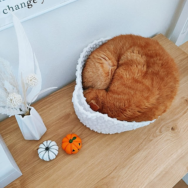 kirakirahikaruさんの実例写真