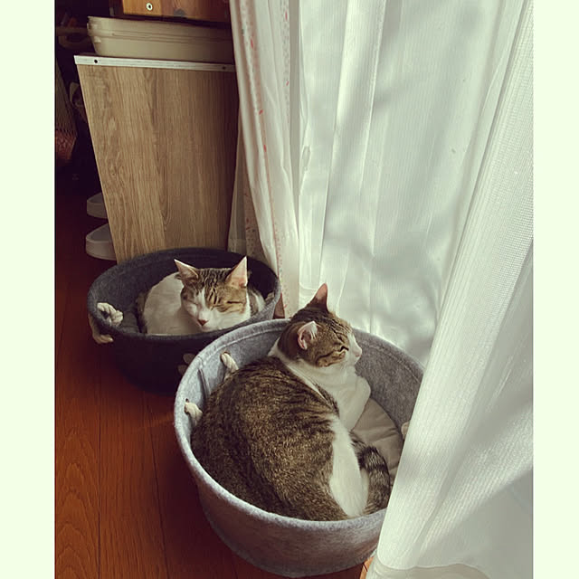 Lufuさんの実例写真