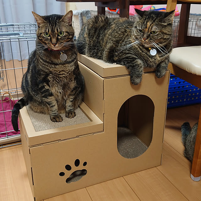noguriさんの実例写真