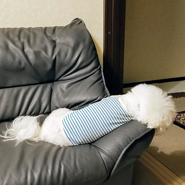 takoさんの実例写真