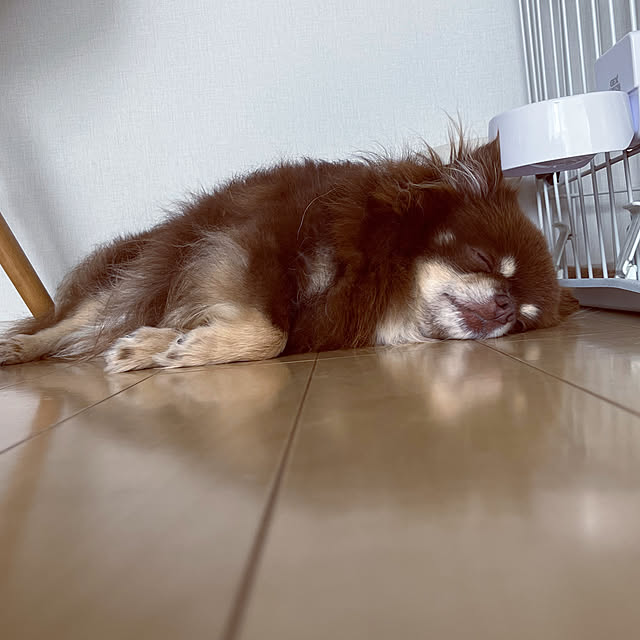 Mikiさんの部屋