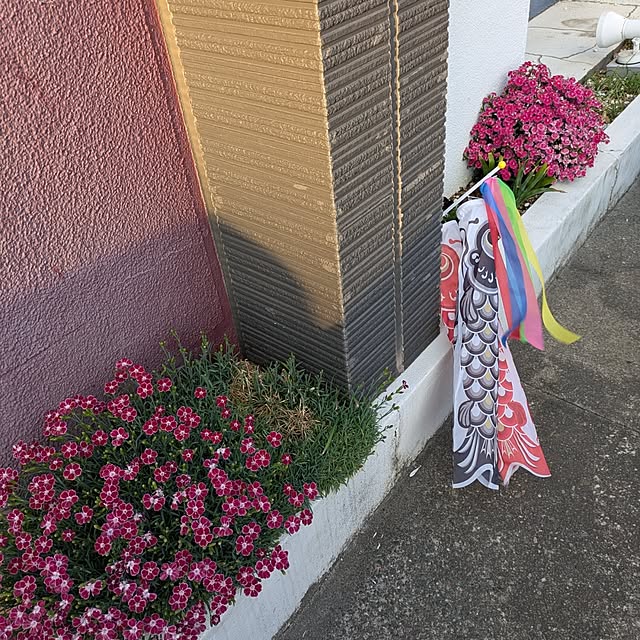 minnieさんの部屋