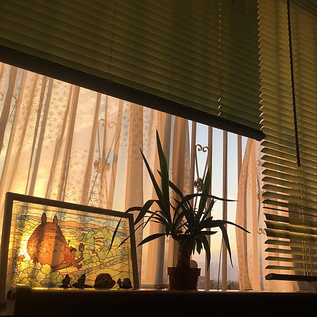fet622さんの実例写真