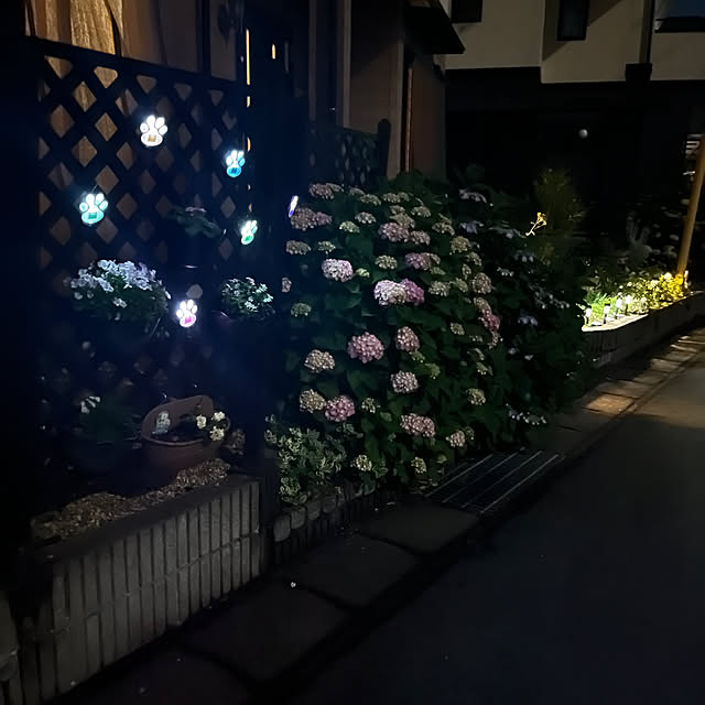 ritsukoさんの部屋