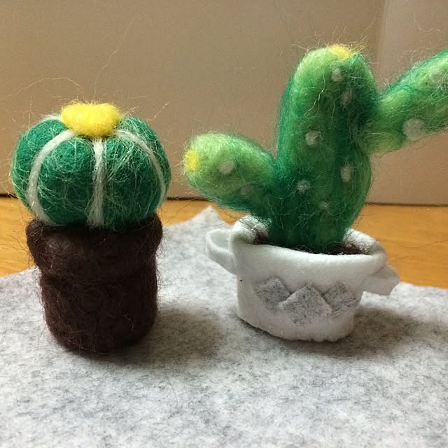 ttoganさんの実例写真