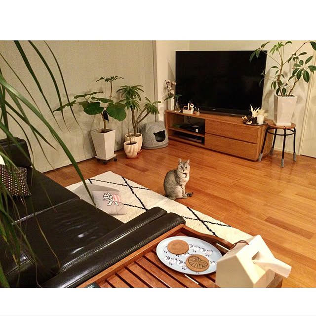 maroさんの実例写真