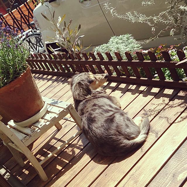 tomo1220さんの実例写真