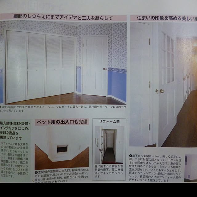 LadyBugさんの実例写真