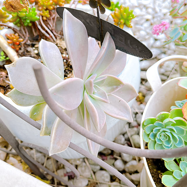 eriharuさんの部屋