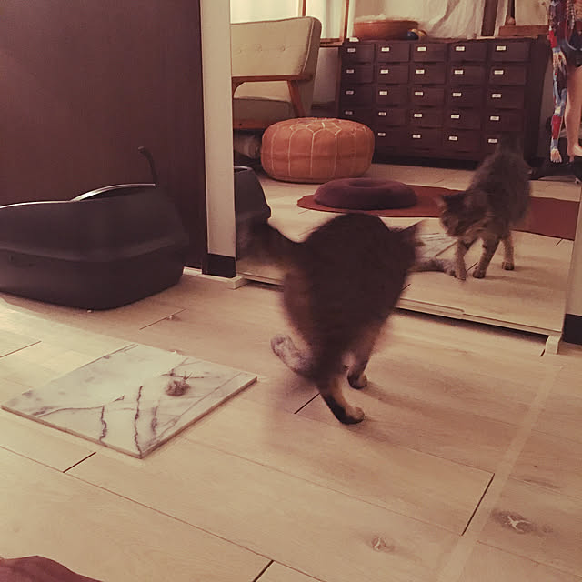 Mさんの実例写真