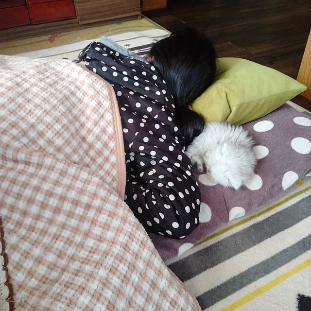 makaronさんの実例写真