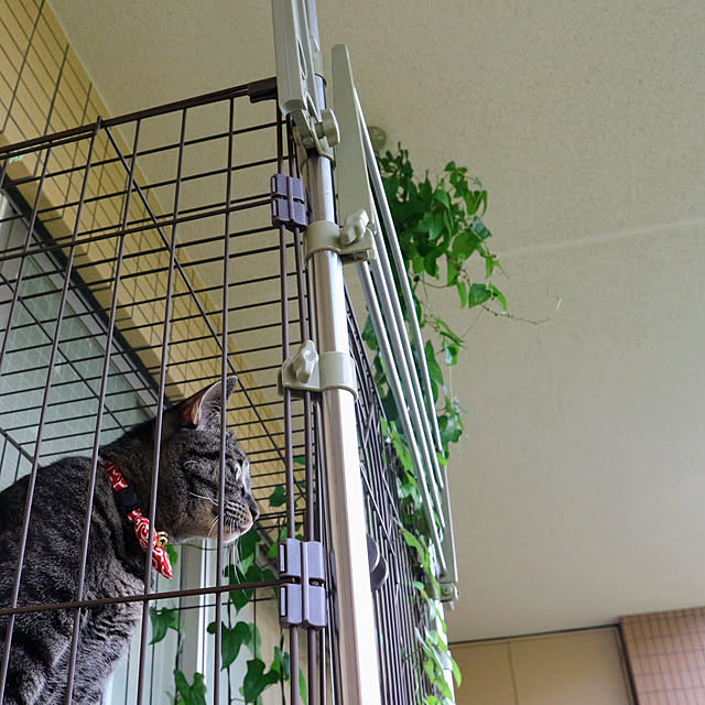 wasinkoさんの実例写真