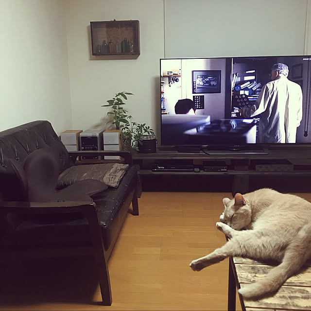 mikan161さんの実例写真