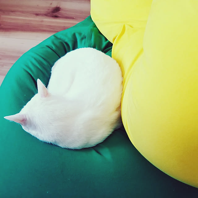 keikomokonさんの実例写真