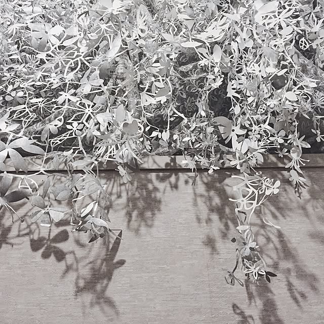 edamuさんの実例写真