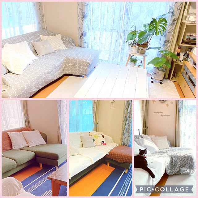 moolさんの実例写真
