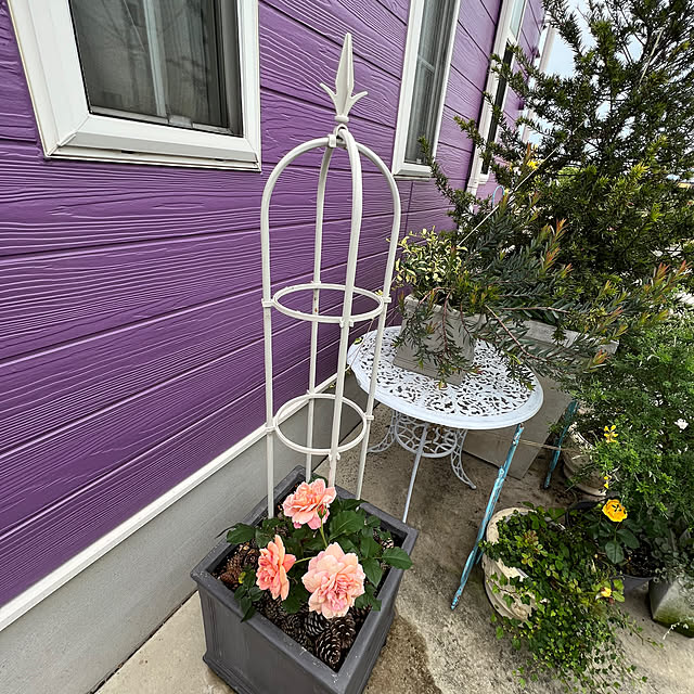 AYUKOさんの部屋