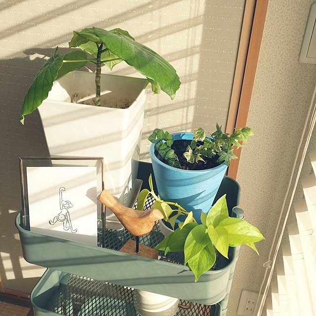 tan5さんの実例写真