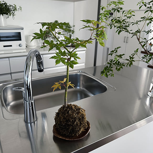 hanahana1444さんの部屋