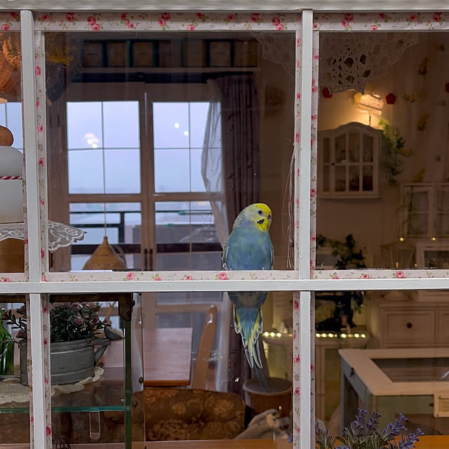 Atsukoさんの実例写真