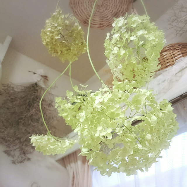 miho.okuさんの実例写真