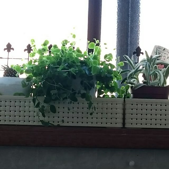 chamaさんの実例写真