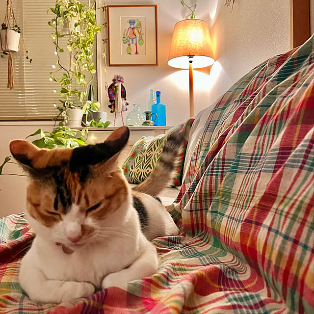 ochoriさんの実例写真
