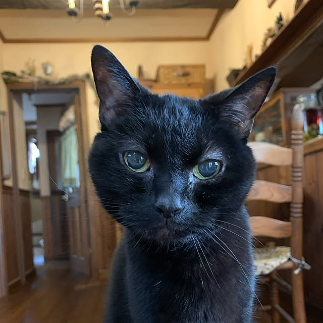 tabasaさんの実例写真