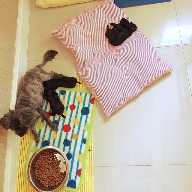 Thammaratさんの実例写真