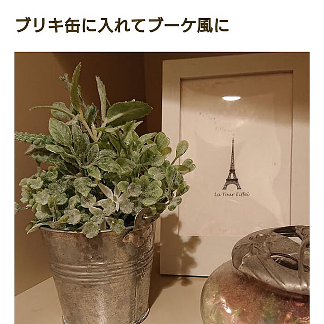 kakkaさんの実例写真