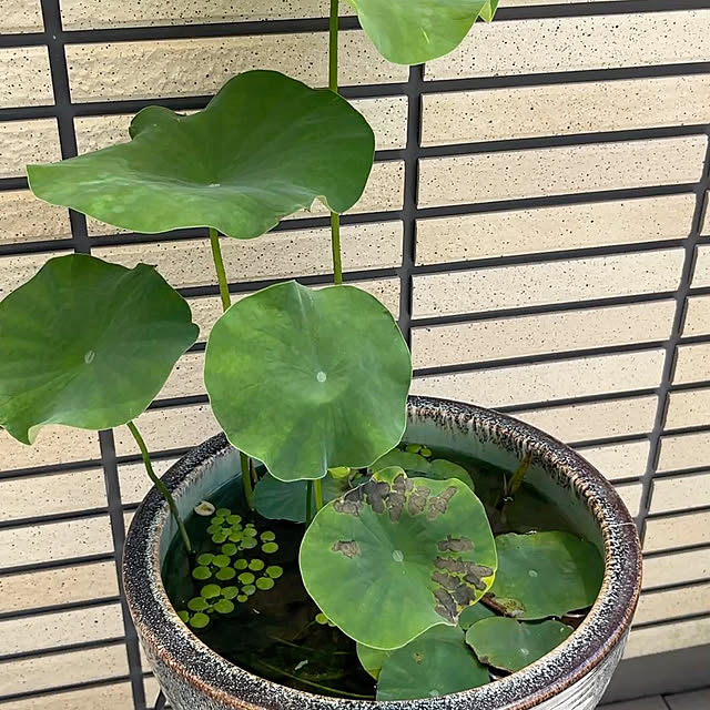 mikasa34さんの部屋