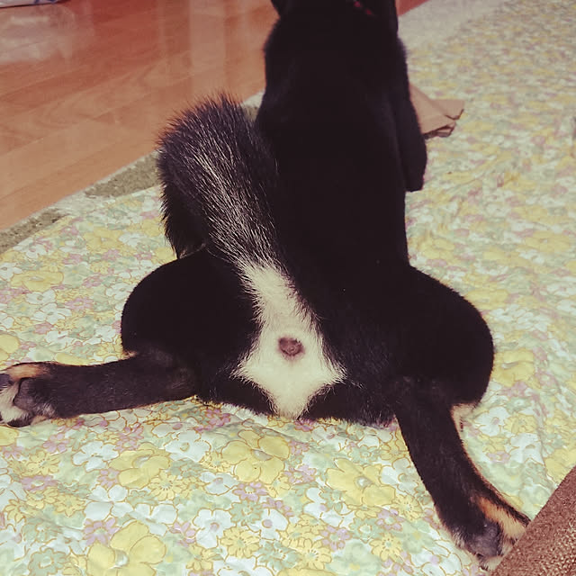 xxxakyxxxさんの実例写真