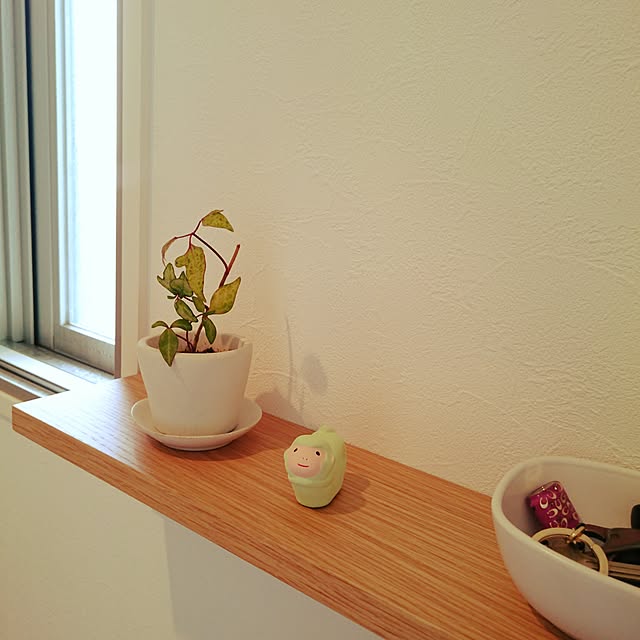 kazuoさんの実例写真