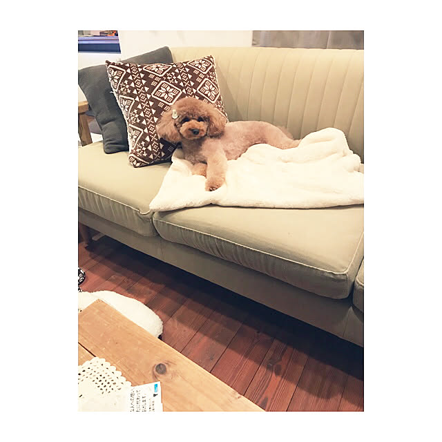 erinkoさんの実例写真