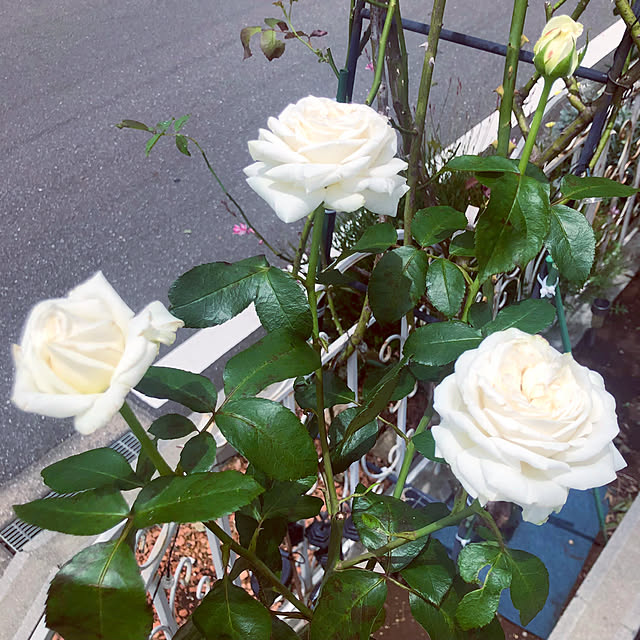 tomoさんの部屋