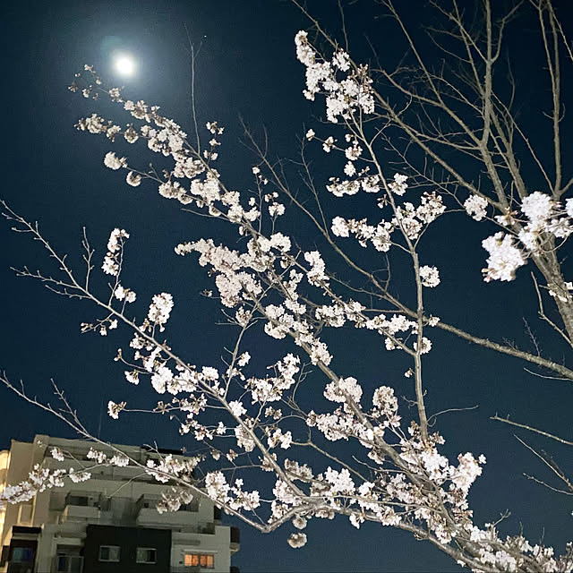 Uraraさんの実例写真