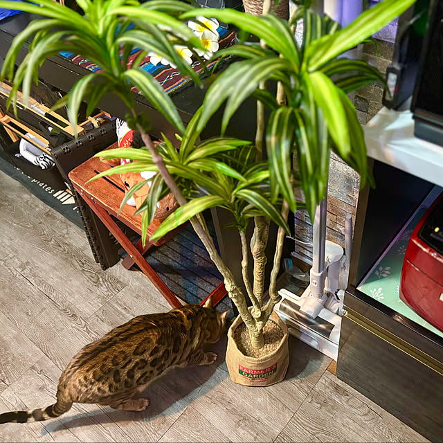 tututu0204さんの実例写真