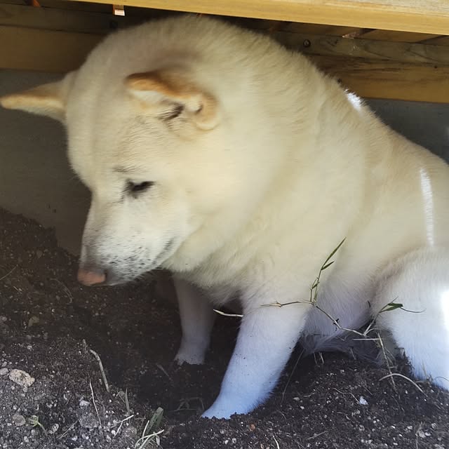 yukinkoさんの部屋