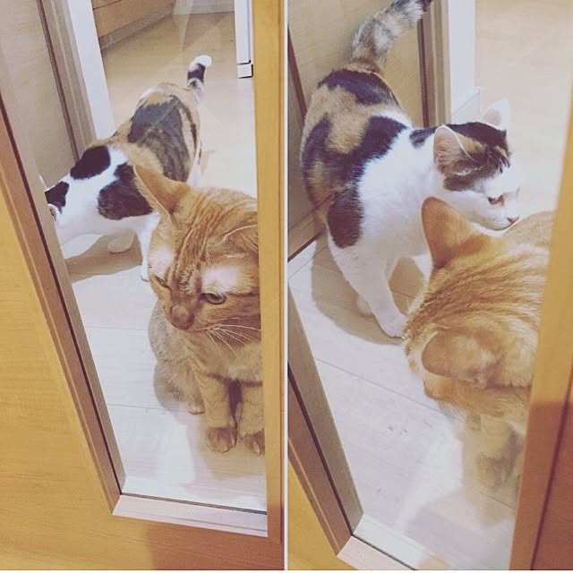 HRMLRさんの実例写真