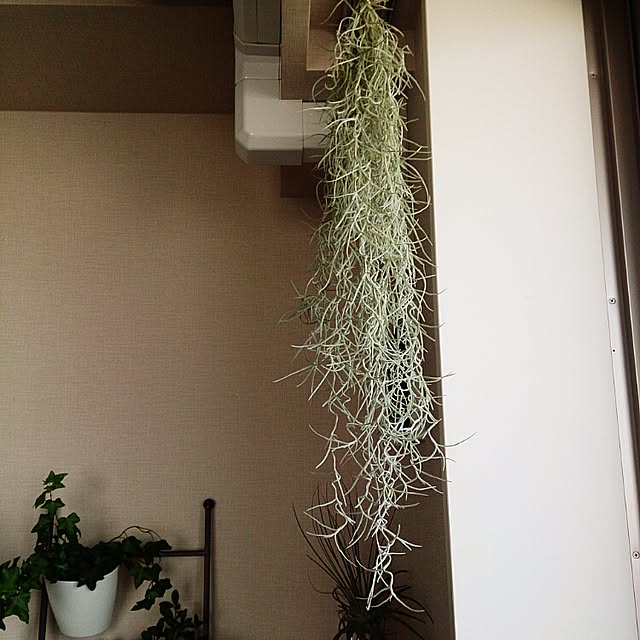 abeさんの実例写真