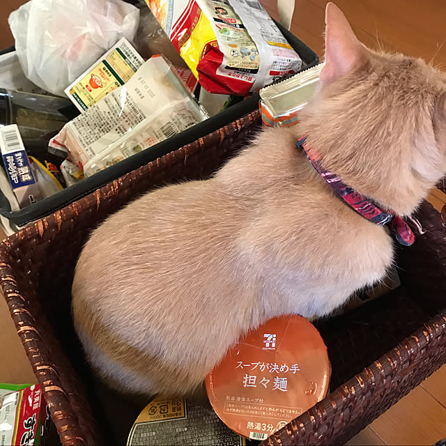 mikan161さんの実例写真