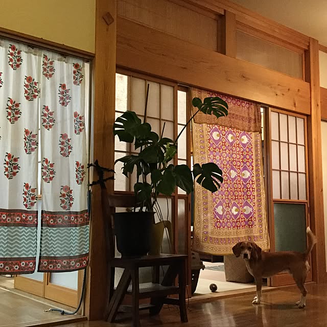 komichi-koさんの実例写真