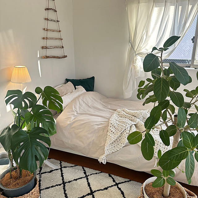 Megumiさんの部屋