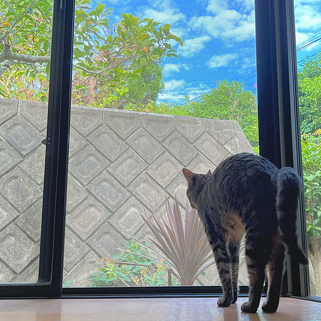 mohhaさんの実例写真