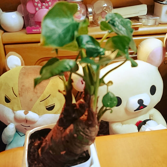 hiro4649さんの実例写真