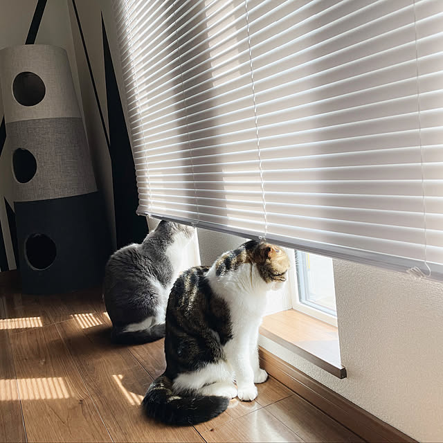 tansukeさんの実例写真
