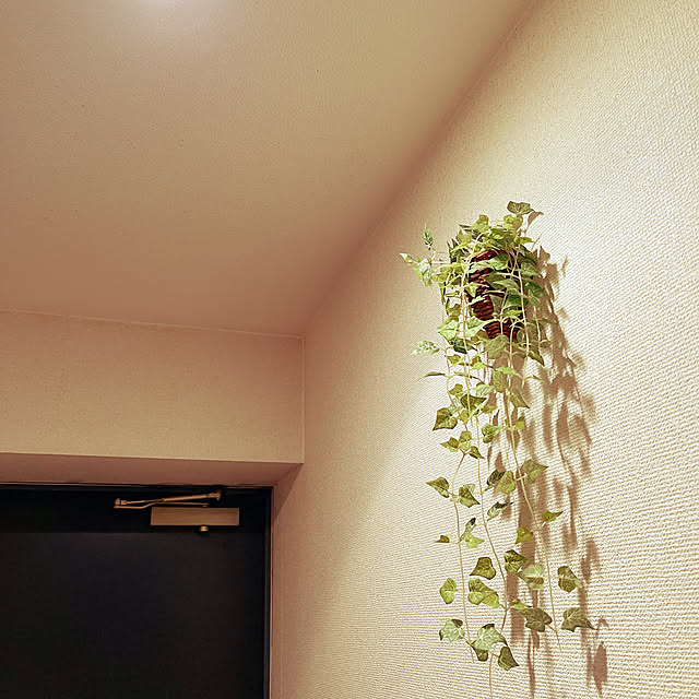 MARIN0315さんの実例写真
