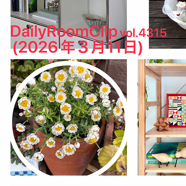 ritsukoさんの実例写真