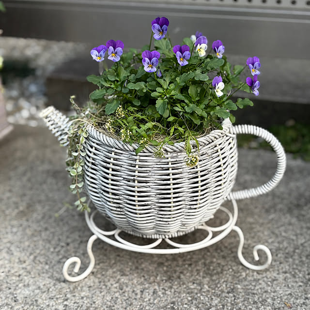 maayaさんの部屋