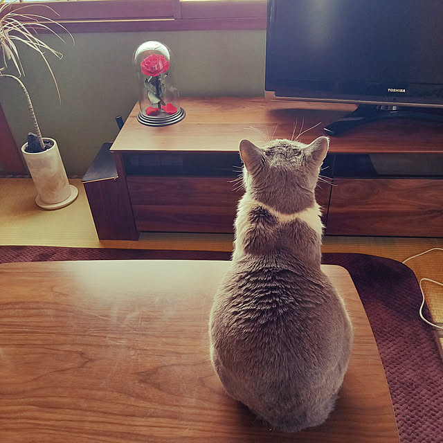 rhuさんの実例写真